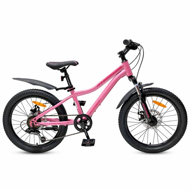 Велосипед AVENGER С201 DW 20" (2025) 