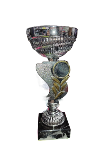 Кубок KN 0377C (18см)