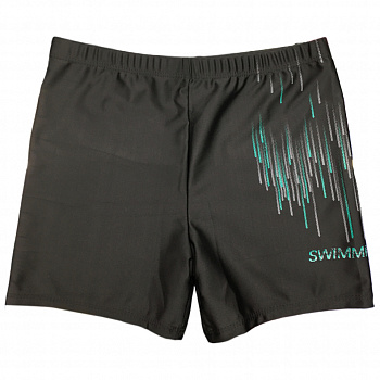 Плавки-шорты для плавания мужские Z.Five 3317