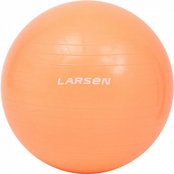 Мяч гимнастический Larsen HG-2/3 с насосом