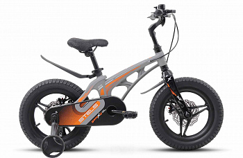 Велосипед STELS Galaxy Pro 16" V010 (2023) 1 ск.