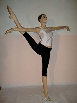 Бриджи спортивные Нола 61/005 хлопок