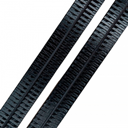 Пластиковые лыжи TISA ELEGANCE WOMEN (2021)