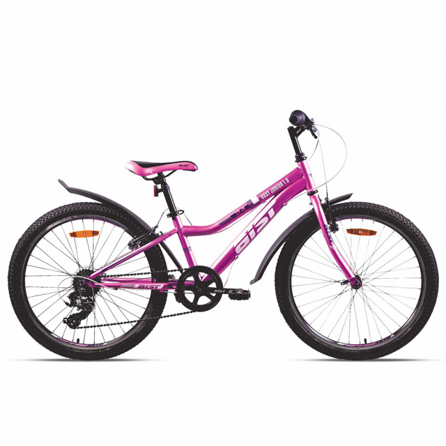 Велосипед AIST Rosy Junior 1.0 24" (2024) 6ск.