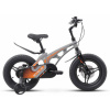 Велосипед STELS Galaxy Pro 14" V010 (2024) 1 ск.