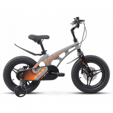 Велосипед STELS Galaxy Pro 14" V010 (2024) 1 ск.