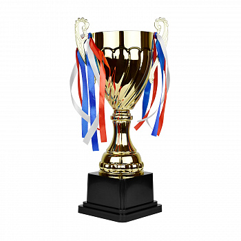 Кубок X1-В (28 см.) Кубок X1-В (28 см.)