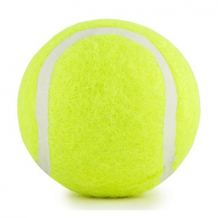 1243