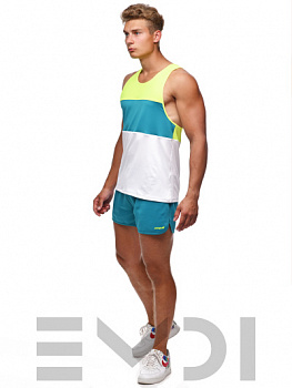Шорты спортивные мужские EMDI 04-0948-410F21