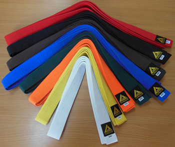 Пояс Yunior для единоборств (облегченный)