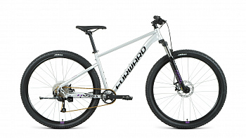 Велосипед FORWARD SPORTING 29" XX D (2022) 9 ск.