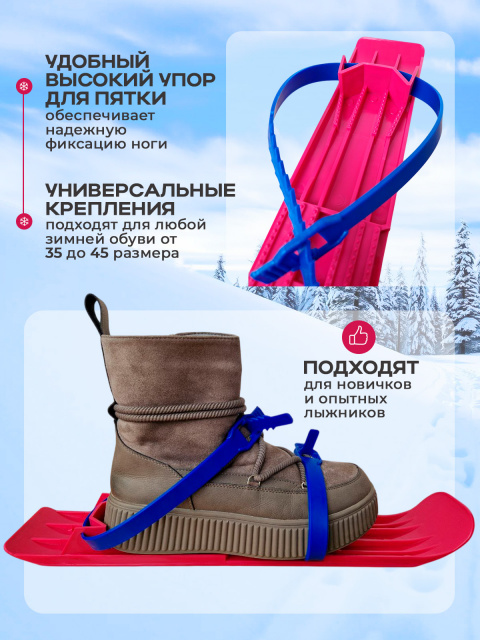 L-45 малиновые слайд 4