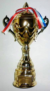 Кубок 063B (37см)